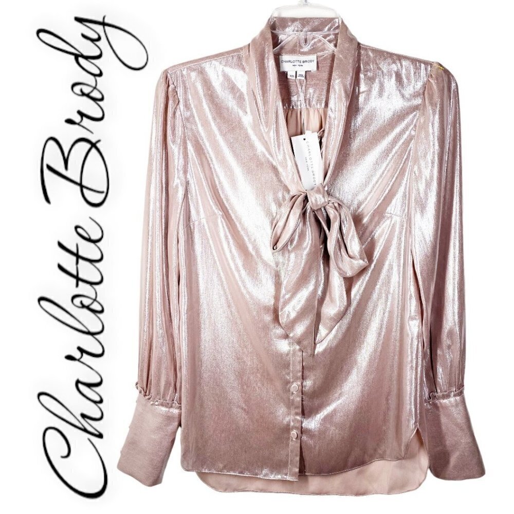 NWT CHARLOTTE‎ BRODY Sheer Blush Metallic Bow Blouse Quiet Luxe French Girl, XS